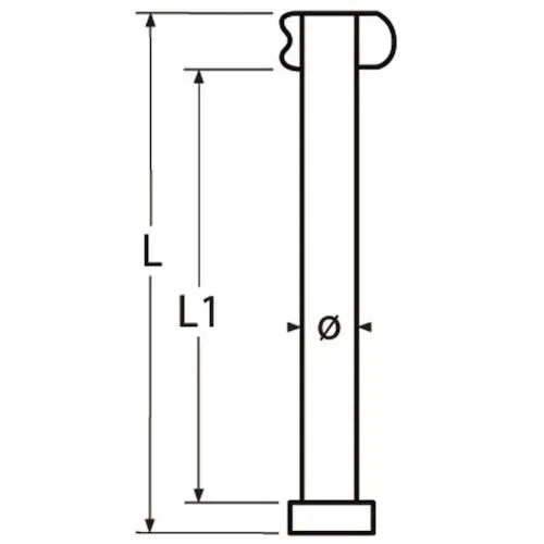 Dropnosepin_5x30mm_1__1