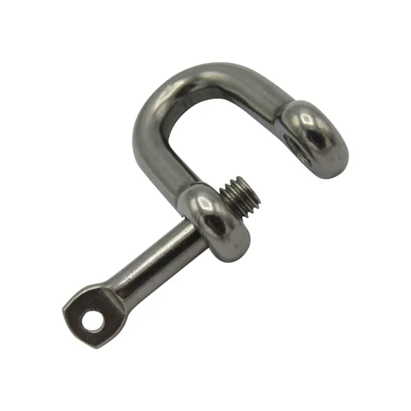 Rvs_D_sluitingen_met_geborgde_pin