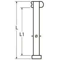 Dropnosepin_10x100mm_1__1