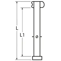 Dropnosepin_6x40mm_1__1