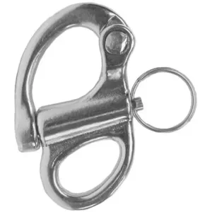 Rvs_snapsluitingen_vast_oog