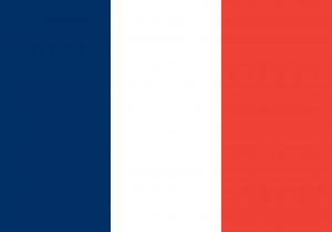Vlag_Frankrijk___20x30